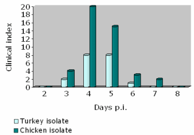 chicken and turkey subtypes